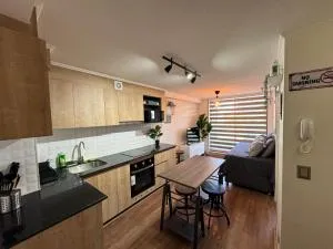 Departamento downtown inn - Chillan Factura Empresas - Parking - wifi - General Lagos Guindos
