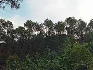 Satyam home stay - Rājgarh