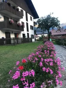 Carè Alto - Carisolo