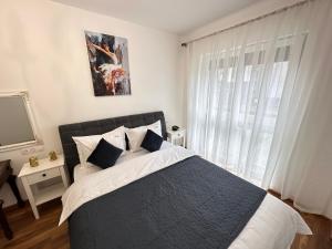 Cozy Apartments at Maurer Residence Brasov