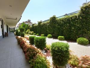 Апартаменты Best Home 26 Cleopatra Legacy No 8