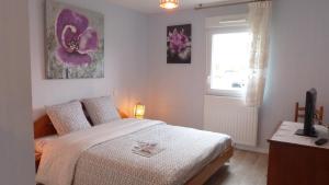 Confortable appartement aux portes de Vannes