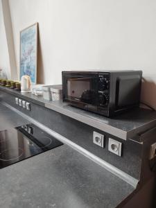 Apartmán Horní Heřmanův Městec u Chrudimi