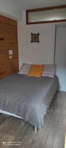 Appartements Appartement 4/6P Valmeinier 1800 : photos des chambres