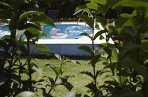 Kalypso Studios & Apartments