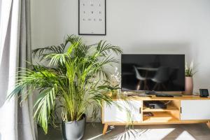 Luxury apartment with free parking