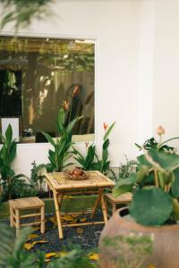 Phòng Sầu Riêng(Durian Room) - Nhà Mơ Homestay