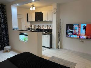 Fancy Studio Arena Nationala