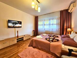 Studio Brancusi by Rosuites