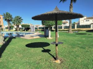 Las violetas - Golf Villamartin