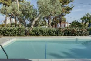 Ouzo Stone House 2 with private pool