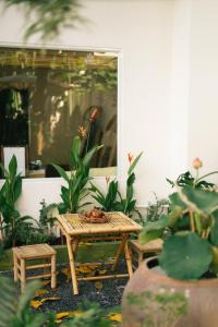 Entire House - Nhà nguyên căn - Nhà Mơ Homestay Bến Tre