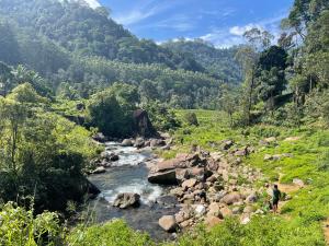 Eagles Eco Lodge - Kandy