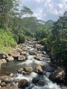 Eagles Eco Lodge - Kandy