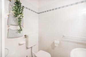 Balsamico Feelings near City Centre