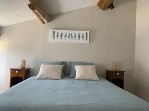 Maison dhôtes La Chabanaise - Marais Poitevin