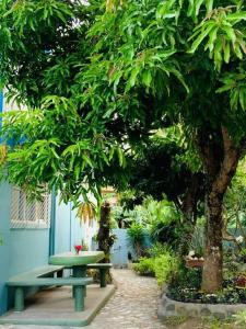 MAGAYON BLUE HOUSE IN THE HEART OF LEGAZPI