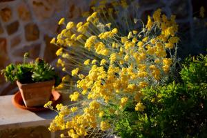 Romantic stone villa with pool, panoramic sea view near the beach - by Traveler tourist agency Krk ID 2134