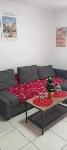 Appartements Le Moorea 2 est a 5 min de l'hyper centre et plages : photos des chambres