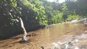 Habitación Juvenil Los Cerros