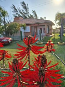Gaivota-Casa de Praia para veraneio - temporada Balneário Gaivotas-SC Família Kunhasky
