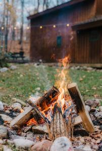 Finnwood - A Pet Friendly Woodland Retreat