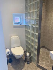 Værelse, bad og toilet i villa