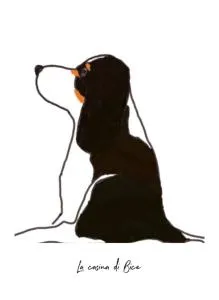 La Casina di Bice - San Firenze - Fonte Di Sala