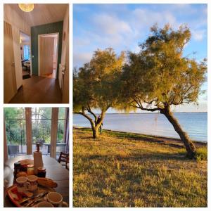Appartements Sur le bassin d'Arcachon : photos des chambres