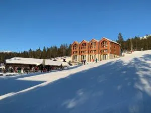 Unikt boende, bästa läge, ski-in/ski-out Björnrike - Hedeviken