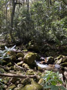 Finca La Roca