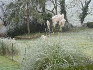 Maison Indépendante 5 Chambres avec Jardin - Animaux Bienvenus - FR-1-581-75