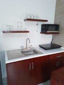 Luluu Índigo (pequeño Índigo)