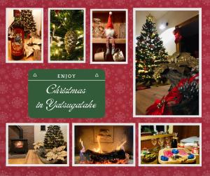 Julians English Homestay and Pension