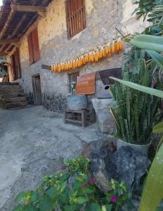 Trieu Hoan homestay