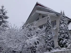 PERLA CĂLIMANILOR - Neagra Şarului