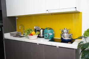 ALAYA 14 Homestay and Apartment DaoTan-BaDinh-HaNoi