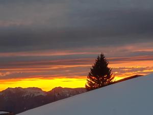 Appartements Le Chamois : photos des chambres