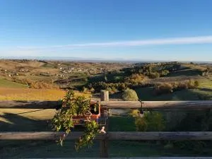 Cantina Visconti - Agriturismo - Roveleto