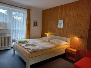 Suite with Mountain View room in Pension Kubát