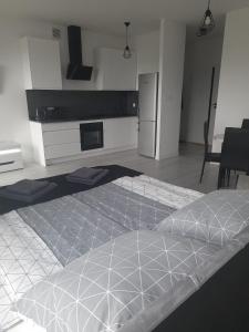 APARTAMENT OLIWIER