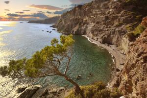 Stelvio ocean Island