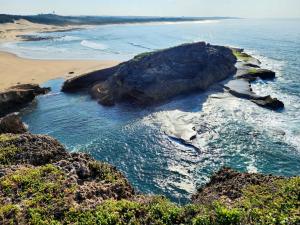 Aloe Breeze Cove Rock