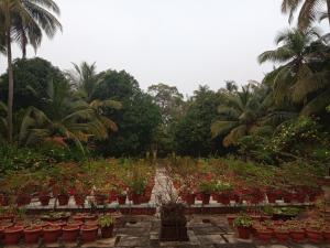 Pournami Home Stay