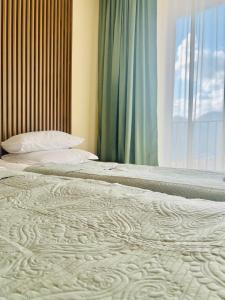 New Gudauri Alpic 105; 112