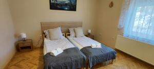 Andika Apartman Szajk