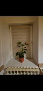 Ap Central Traian Moșoiu 2 Parcare proprie