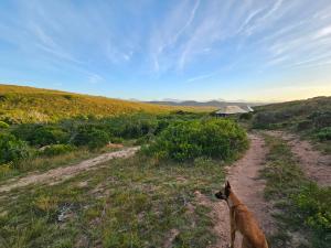Garden Route Safari Camp