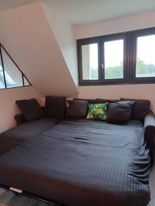 Appartements Magnifique studio de charme : photos des chambres