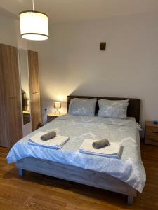 Blue Shell Apartments